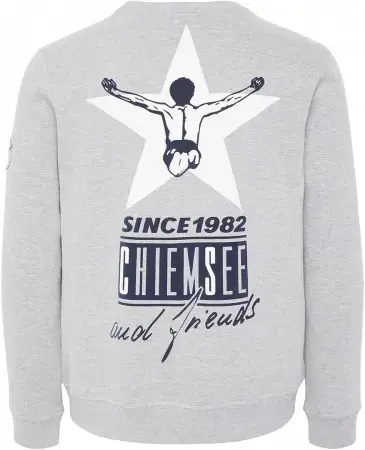 Chiemsee ZAYN NEW Sweater neutral grey Warehouse One Preisknaller
