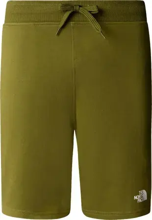 Markenprodukt The north face STANDARD LIGHT Walkshort forest olive Warehouse One