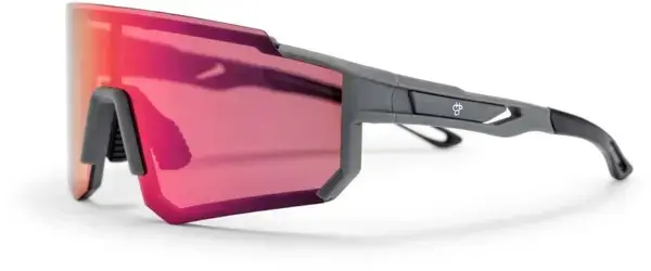 Expressversand Chpo SIRI Sonnenbrille grey/infra purple Warehouse One