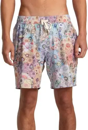 Rvca SAGE ELASTIC HEMP 17 Boardshort multi Warehouse One Top-Seller