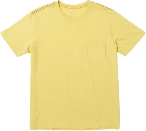 Neu Rvca PTC 2 PIGMENT T-Shirt jojoba Warehouse One