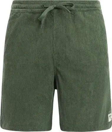 Garantierte Lieferung Protest PRTULEYO Walkshort thyme Warehouse One