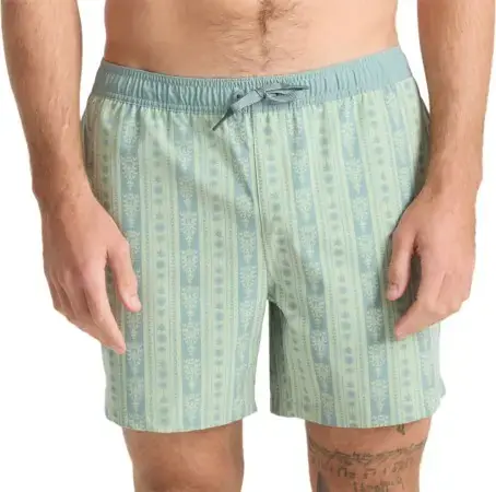 Roark SHOREY 16 Boardshort stripe sea foam Warehouse One Wochenendangebot