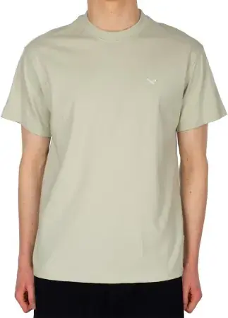 Iriedaily MINI FLAG T-Shirt light sage Warehouse One Neuheit