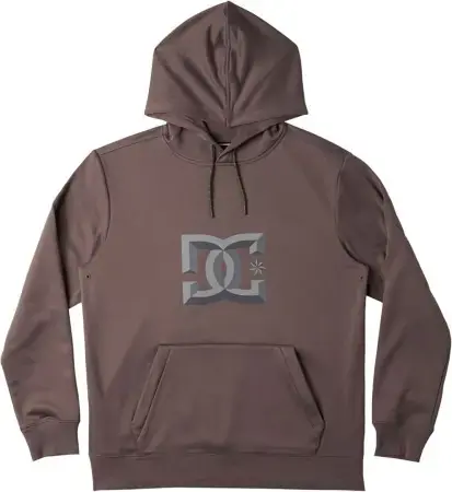 Dc SNOWSTAR Hoodie plum truffle Warehouse One Expressversand
