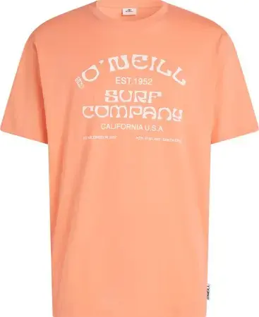 Oneill MUIR T-Shirt funky peach Warehouse One Meistverkauft