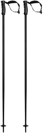Head MULTI PERFORMANCE Stöcke black/black Warehouse One Must-Have