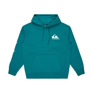 Sofort Bestellen Quiksilver OMNILOGOHOOD 2025 Grün Pullover