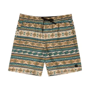 Meistverkauft Billabong SURFTREK ELASTI 2026 Braun Boardshorts