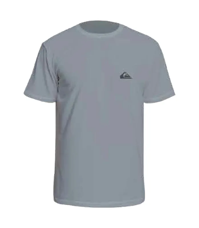 Aktuell Quiksilver SURF TEE SS 2026 Grau T-shirt