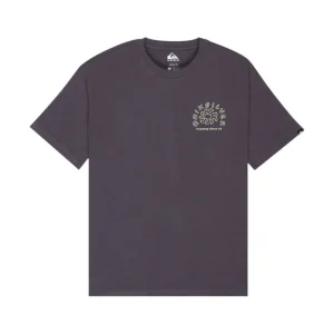 Markenware Quiksilver CURVE PALM 2026 Grau T-shirt