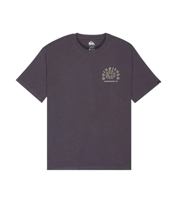 Markenware Quiksilver CURVE PALM 2026 Grau T-shirt