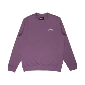 Billabong ARCH 2026 Lila Pullover Preisknaller